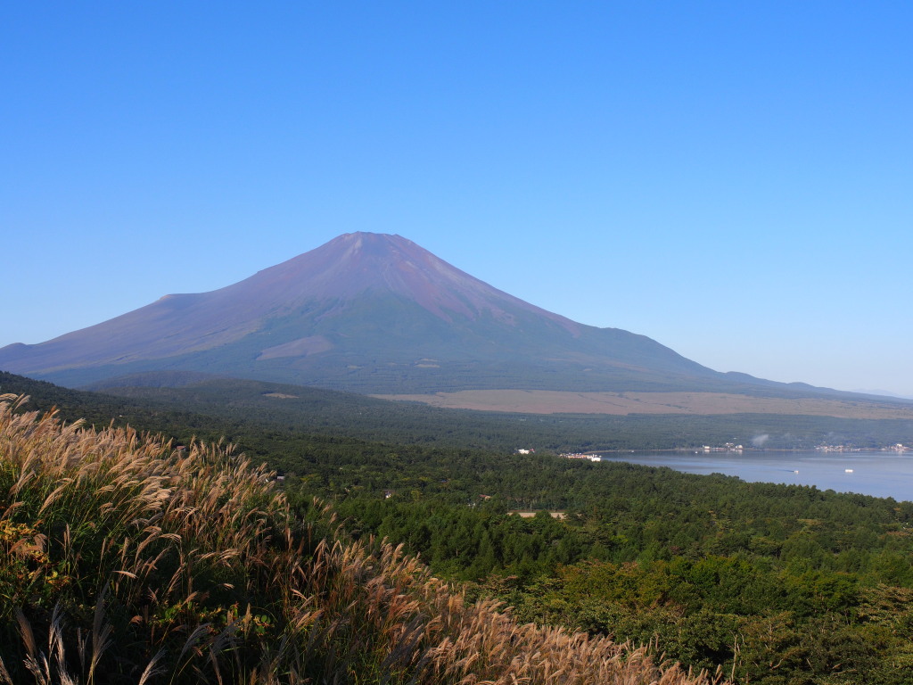 9/19 �X�X�L�ƕx�m�R