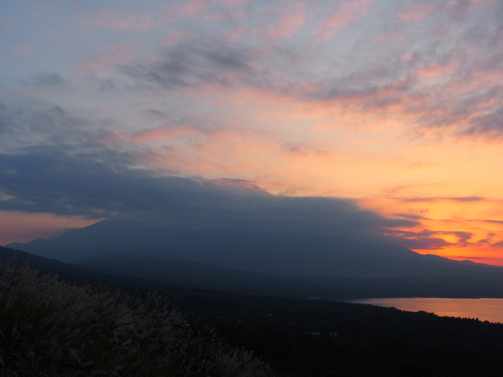 9/19 �_�̒��̗[�Ă�