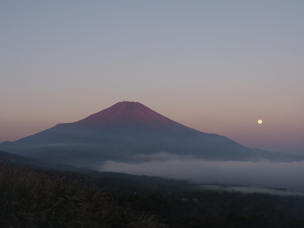 9/20 �\�ܖ�̌��ƕx�m�R