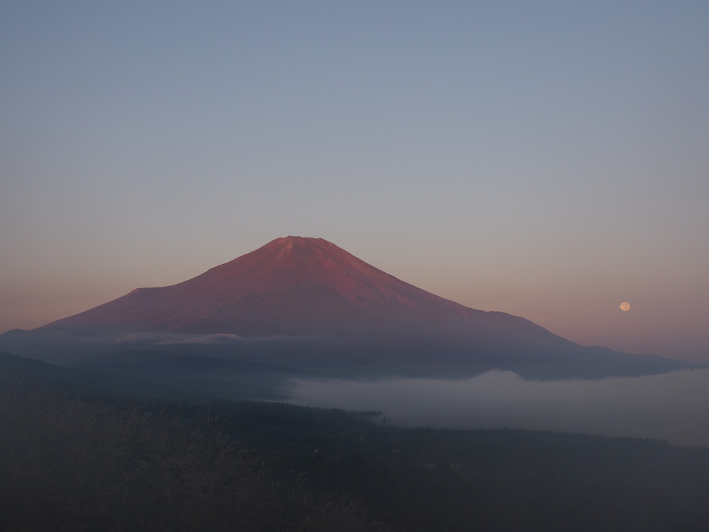 9/20 �ԕx�m�ɒ��ޏ\�ܖ�̌�