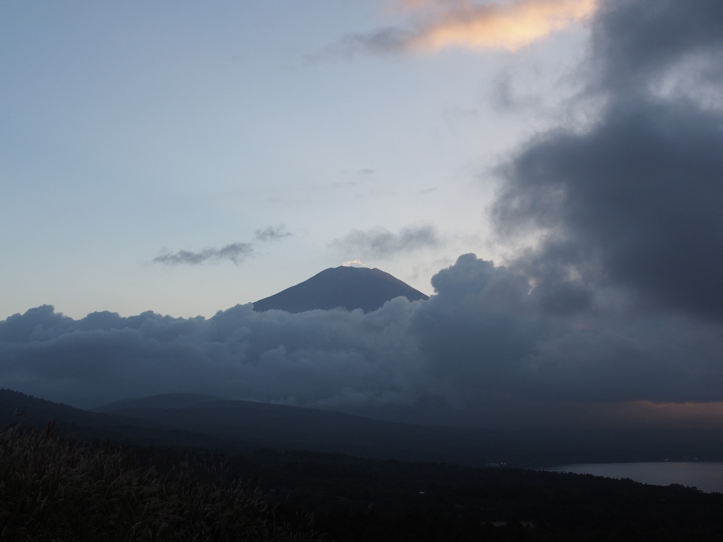 9/24 ��u�̕x�m�R