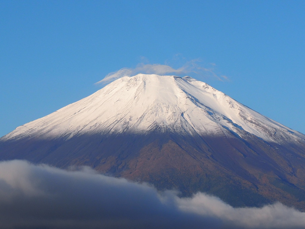 10/30 �~���ς̕x�m�R