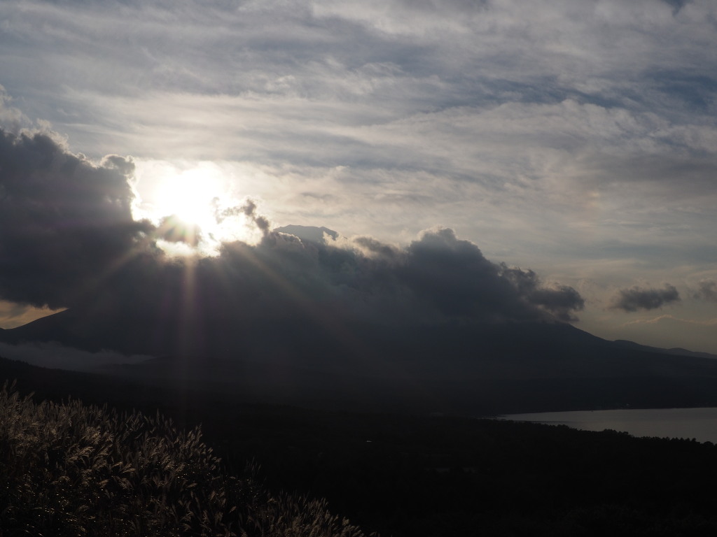 10/30 �x�m�R�ɒ��ޑ��z