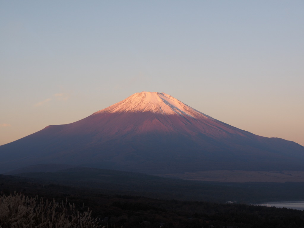 10/31 ���Ă��̕x�m�R