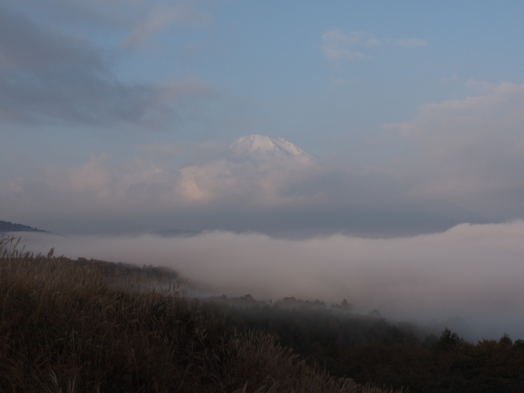 11/1 ��u�̕x�m�R