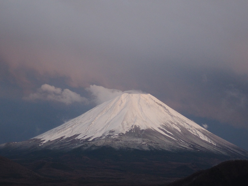 11/15 �x�m�R�̃A�b�v