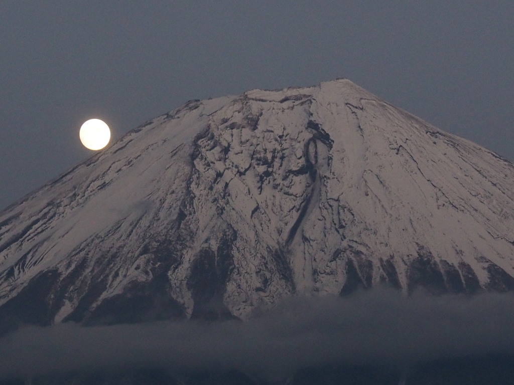 11/16 �\�O��̌��ƕx�m�R