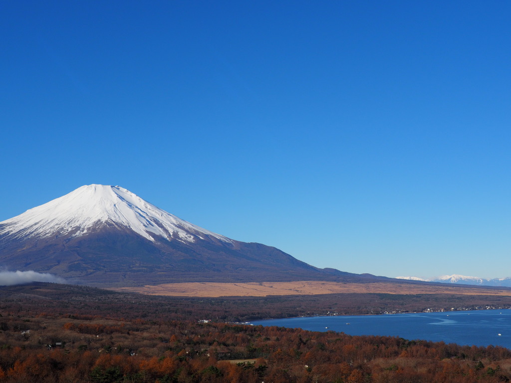 11/26 �r�[�J���̕x�m�R