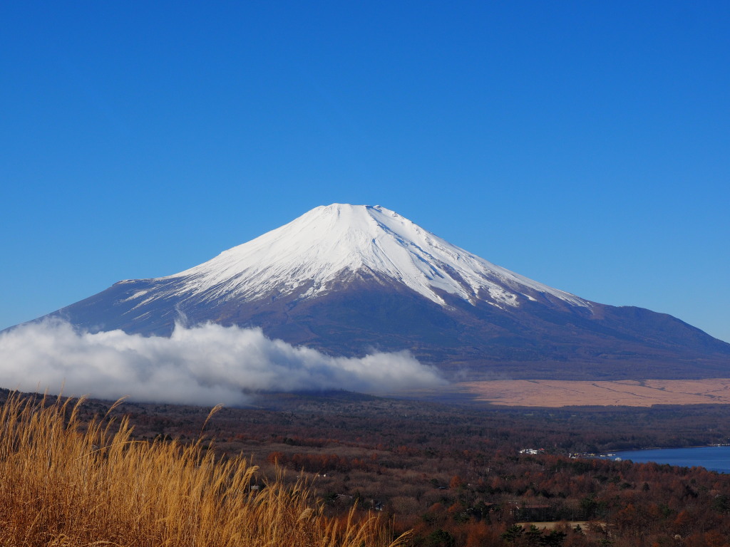 11/26 �_���N���x�m�R