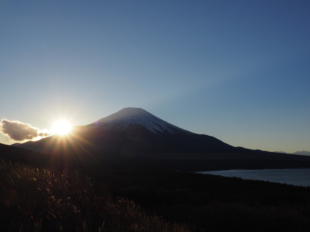 11/26 ���̓���̕x�m�R