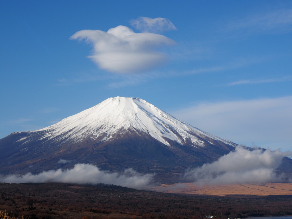 11/27 �_�ƕx�m�R(2)