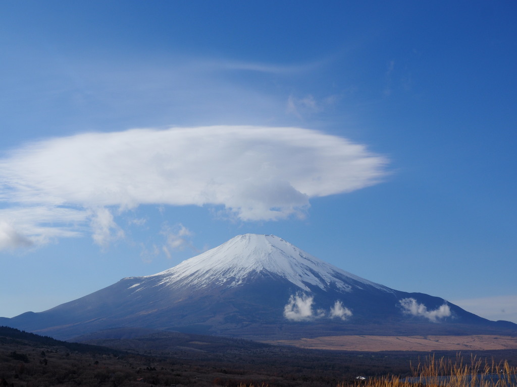 11/27 �_�ƕx�m�R(3)