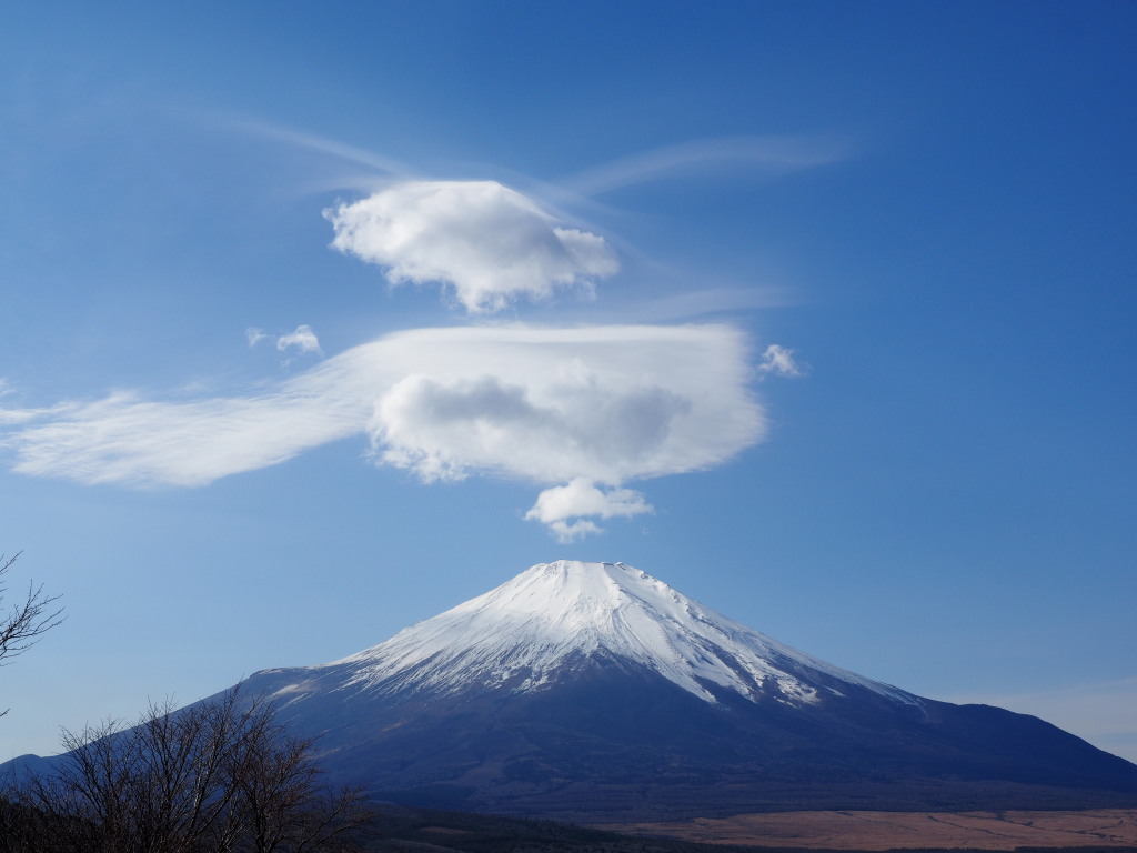 11/27 �_�ƕx�m�R(4)