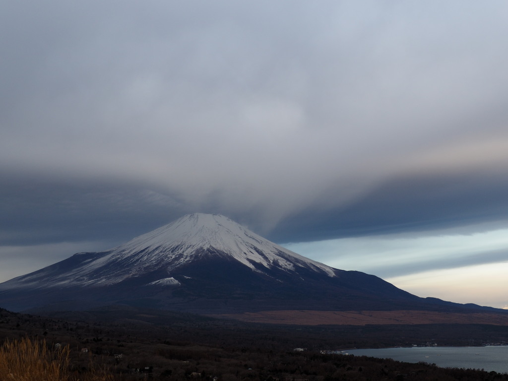 11/28 �����n�߂��x�m�R