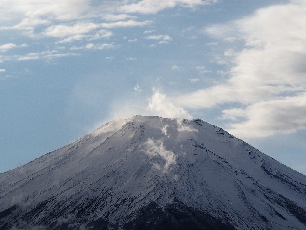 11/28 �_�ƕx�m�R�̃A�b�v