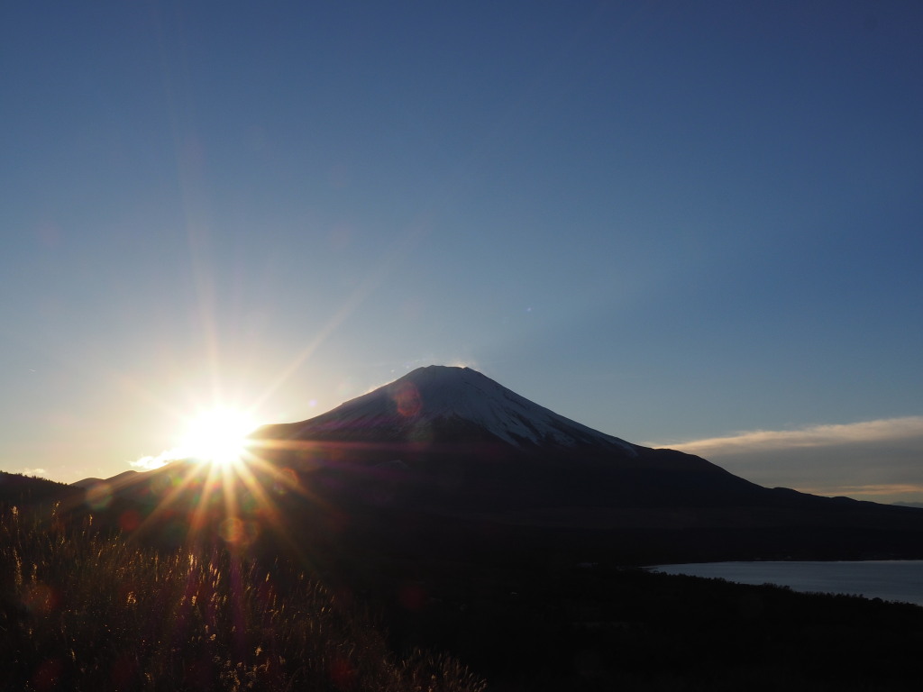 11/28 ���̓���̕x�m�R