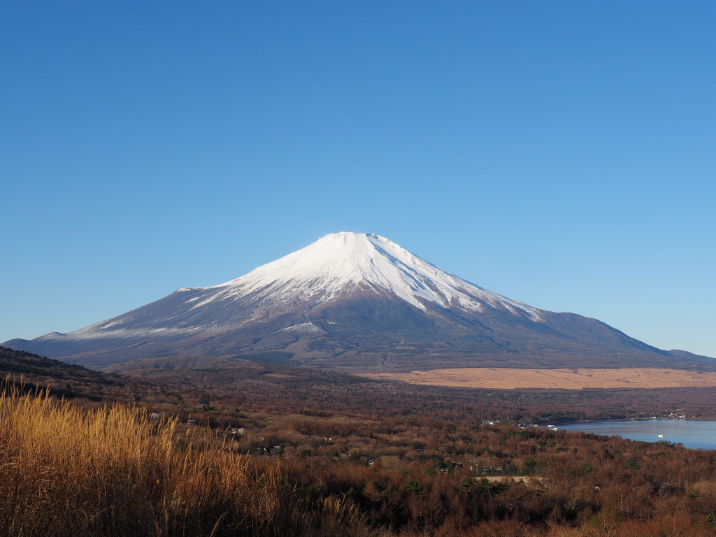 11/29 �R���΂���̕x�m�R