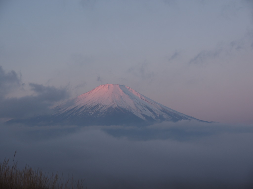 12/4 �Z���̒��Ă��̕x�m�R