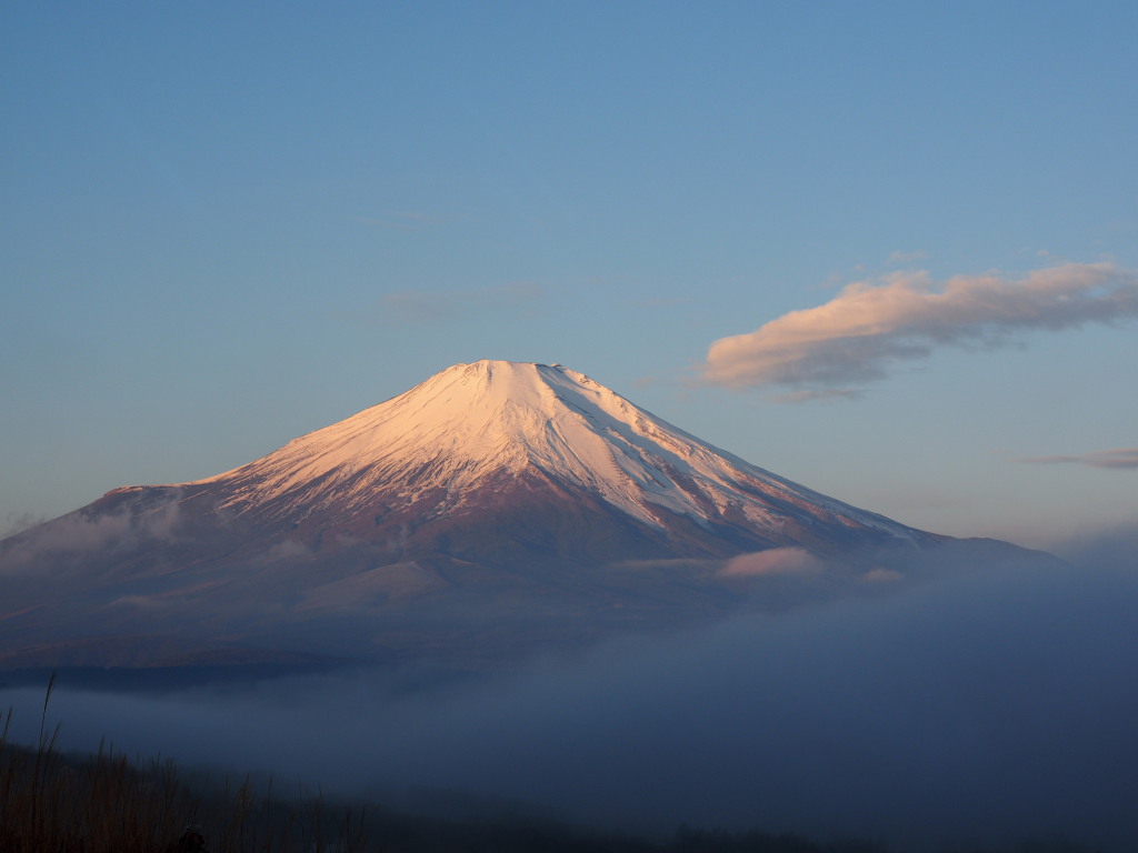 12/4 �Z���̒��Ă��̕x�m�R(2)