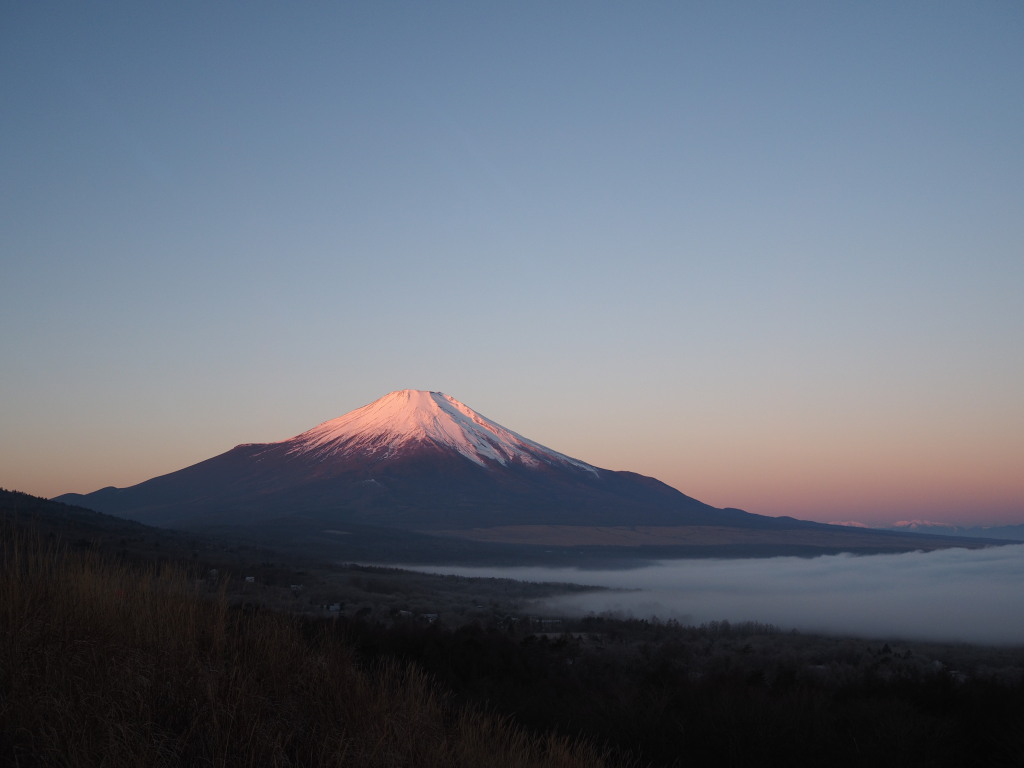 12/5 ���Ă��̕x�m�R