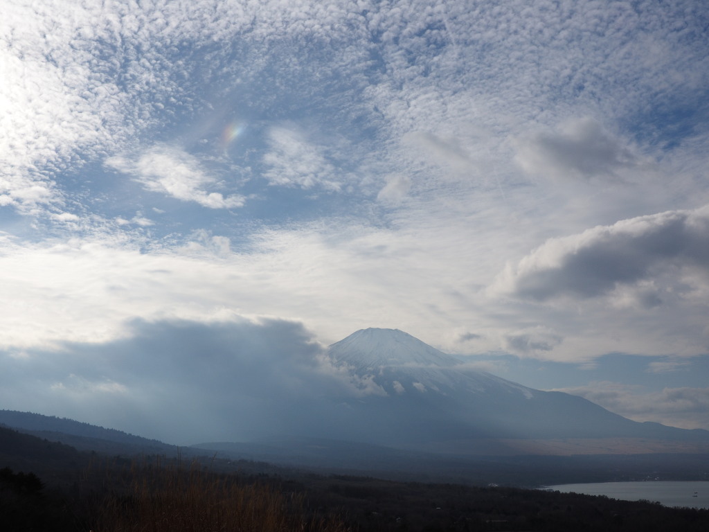 12/17 �ʉ_�Ƃ��낱�_�̕x�m�R