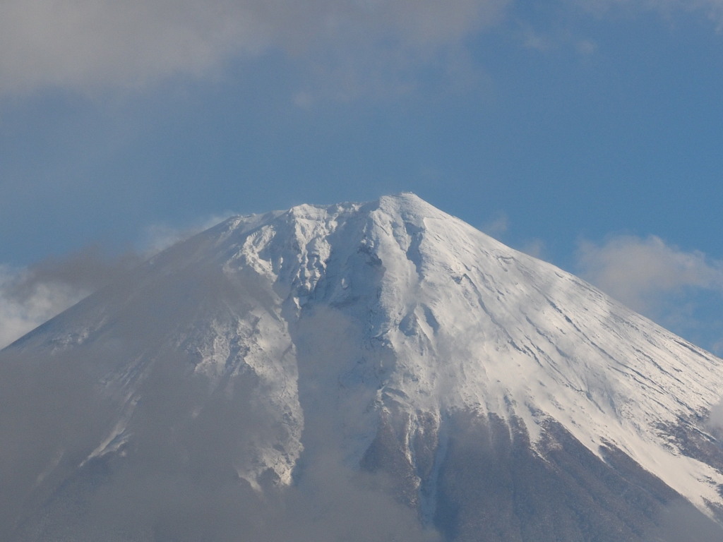 12/20 ��u�������x�m�R