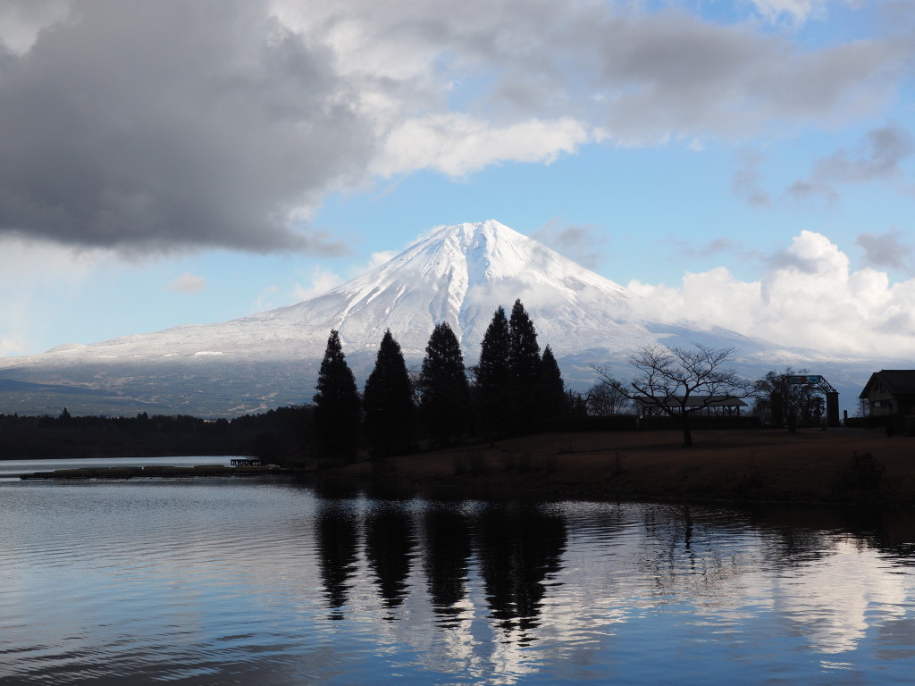 12/20 �f�b�L����̕x�m�R