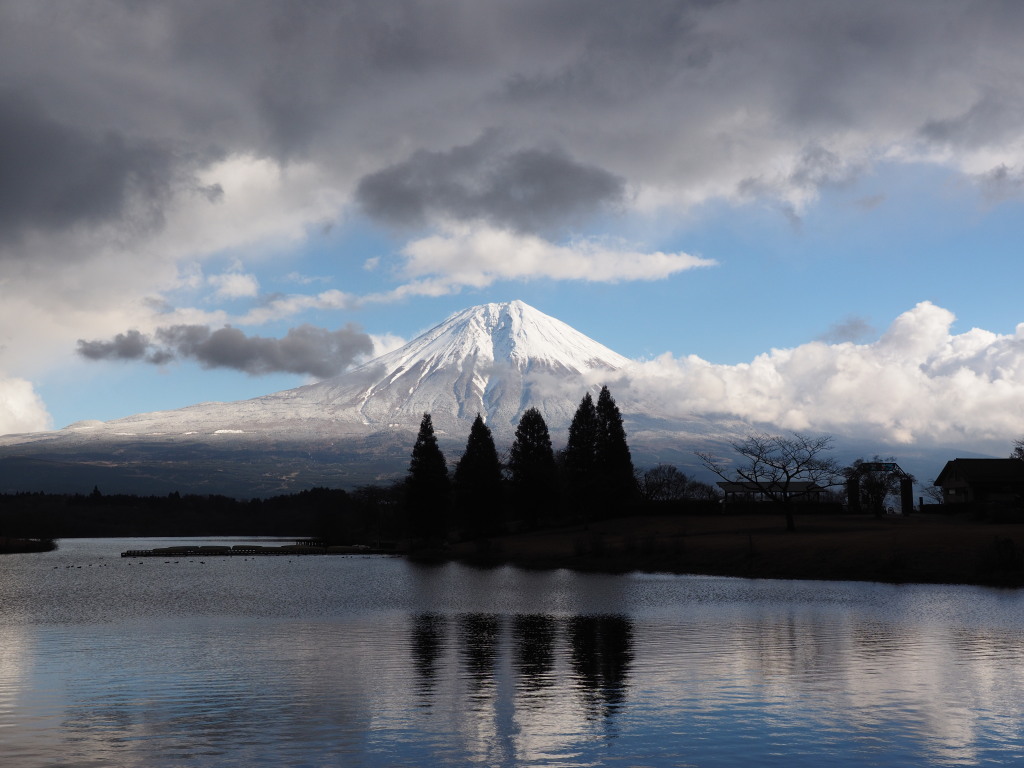 12/20 �܂���_�L����