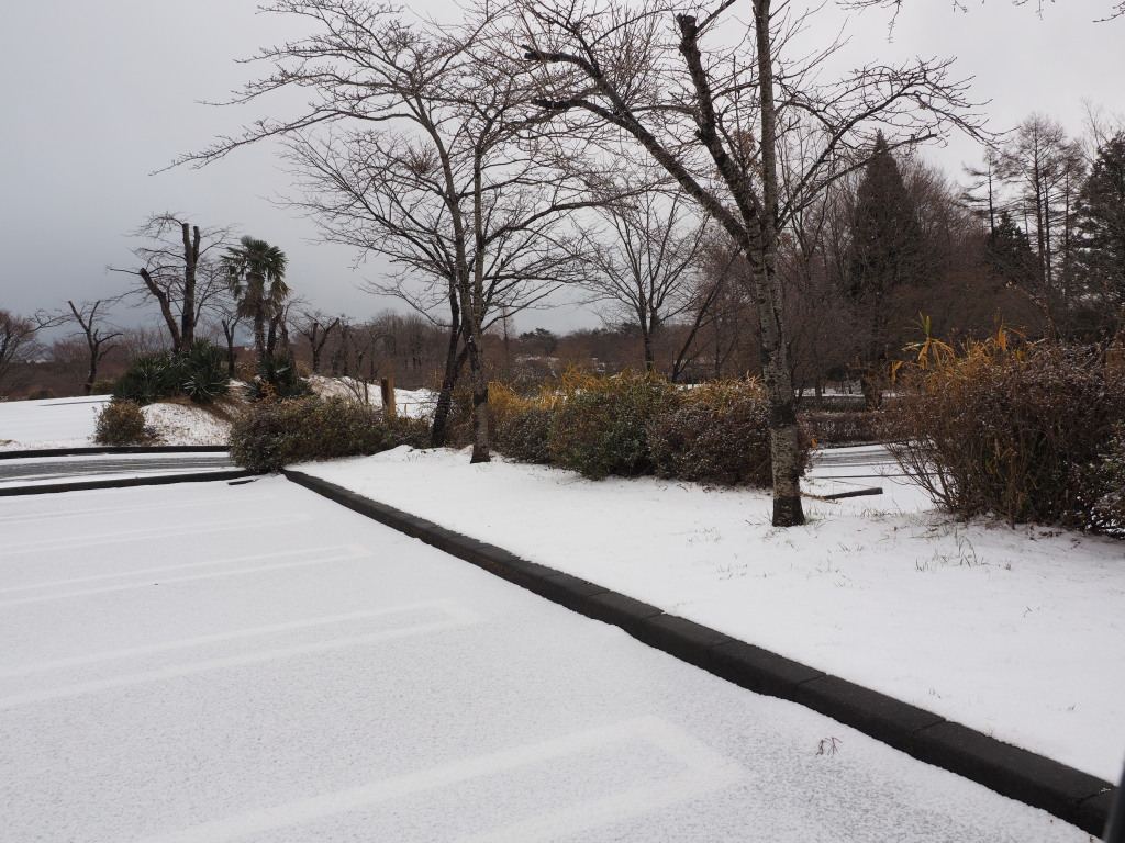 12/20 �u���Ԃ̔������E