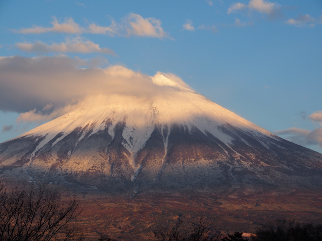 12/20 �[�Ă��̕x�m�R