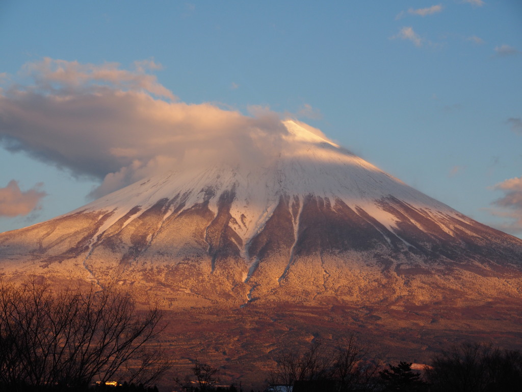 12/20 �[�Ă��̕x�m�R(2)