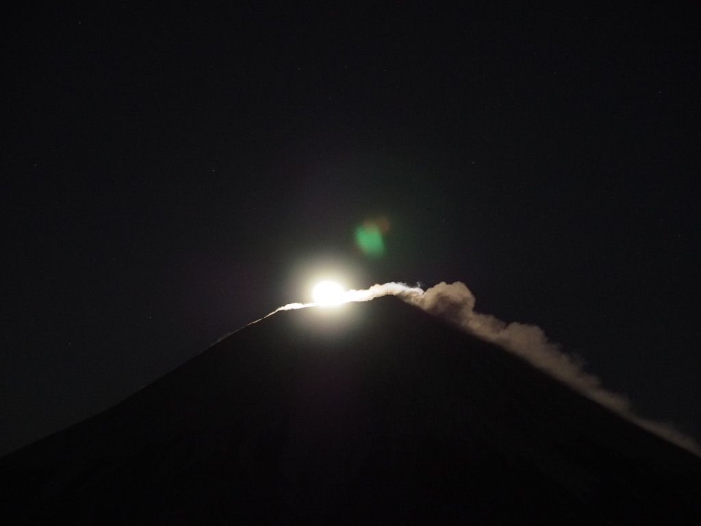 12/20 �\�Z��̌��ƕx�m�R