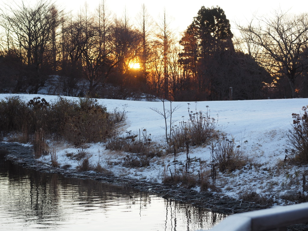 12/21 �c�ь΂���̓��̏o