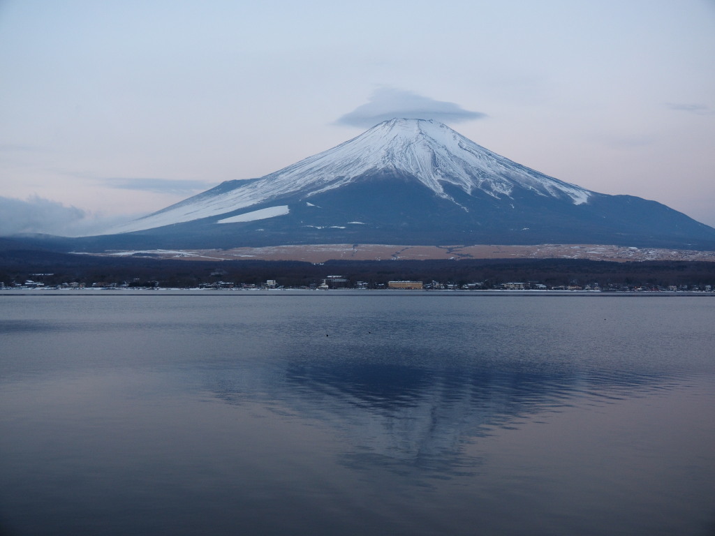 1/08 �P�_�̕x�m�R