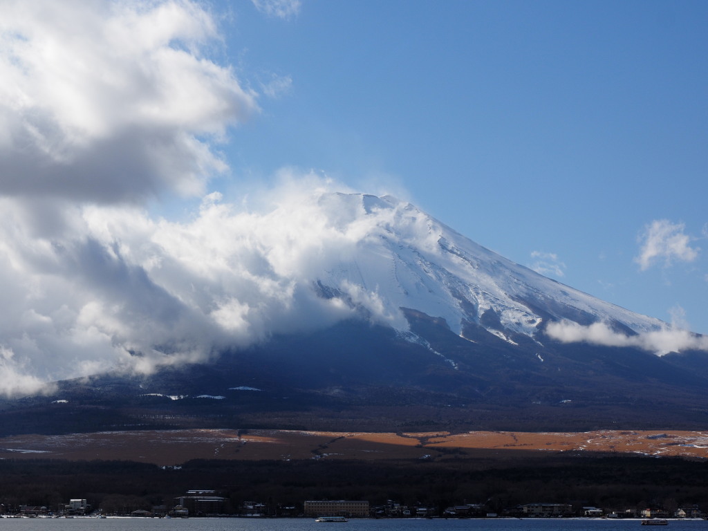 1/09 ��オ��̕x�m�R