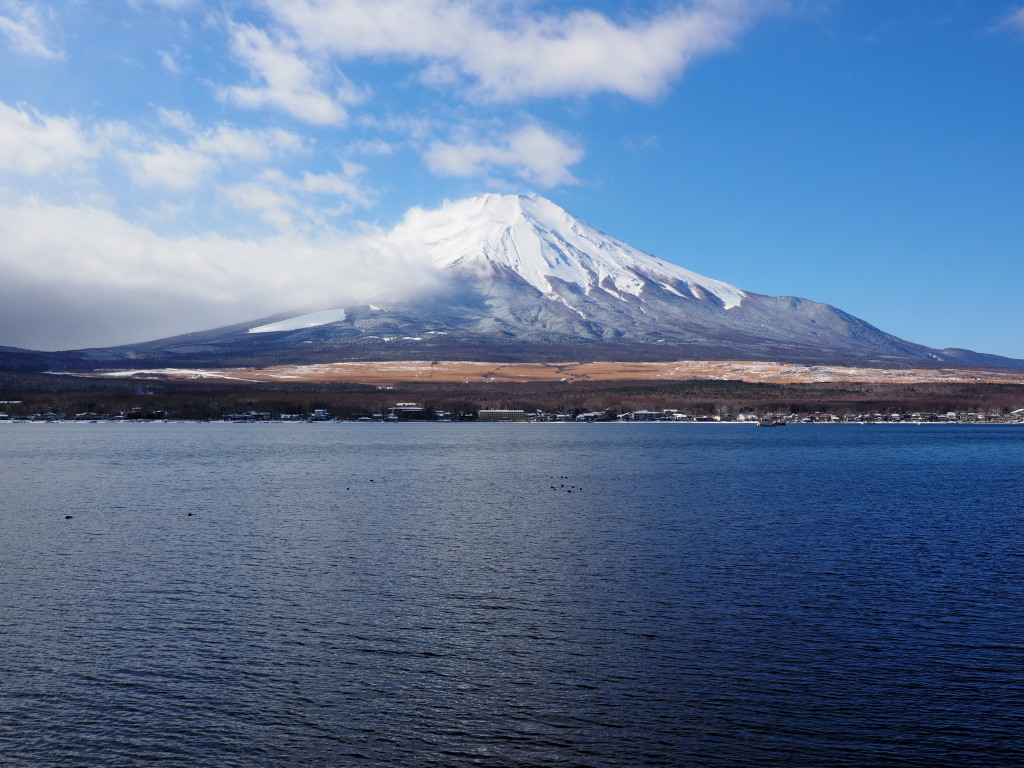 1/10 �����n�߂��x�m�R