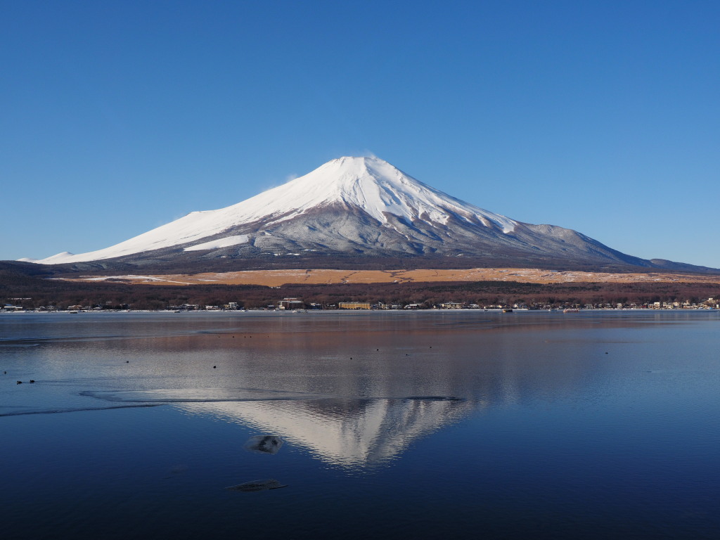 1/11 �X�b�L���t���x�m