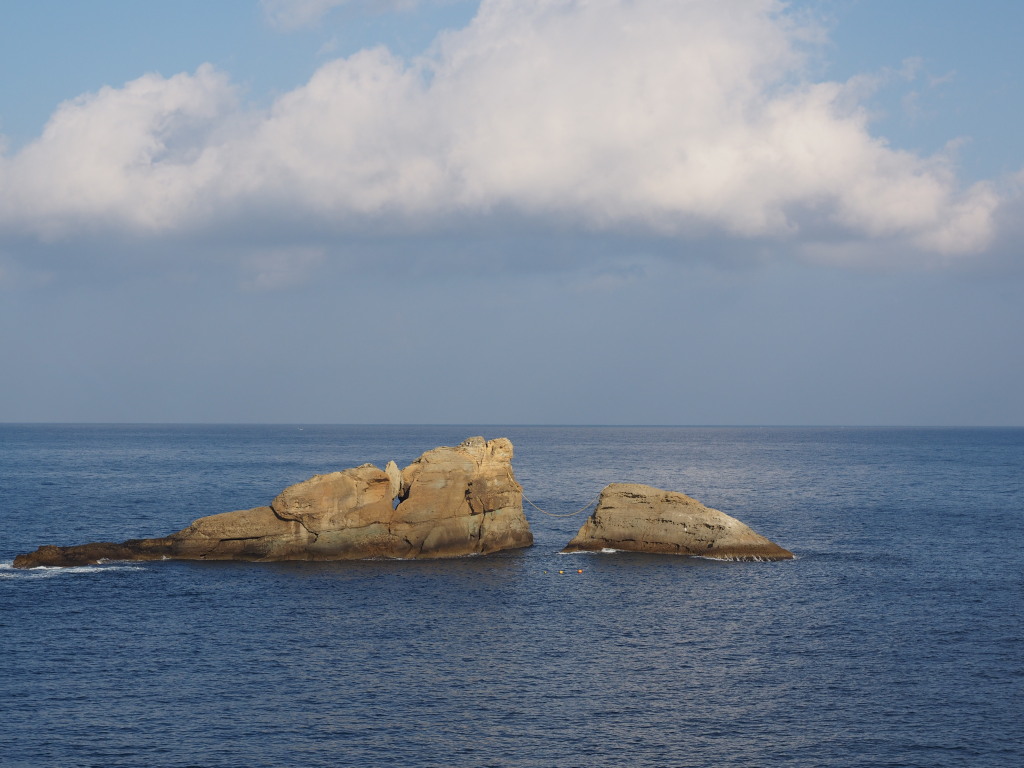 1/22 �_���̕v�w��