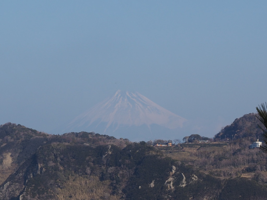 1/22 �����肩��̕x�m�R