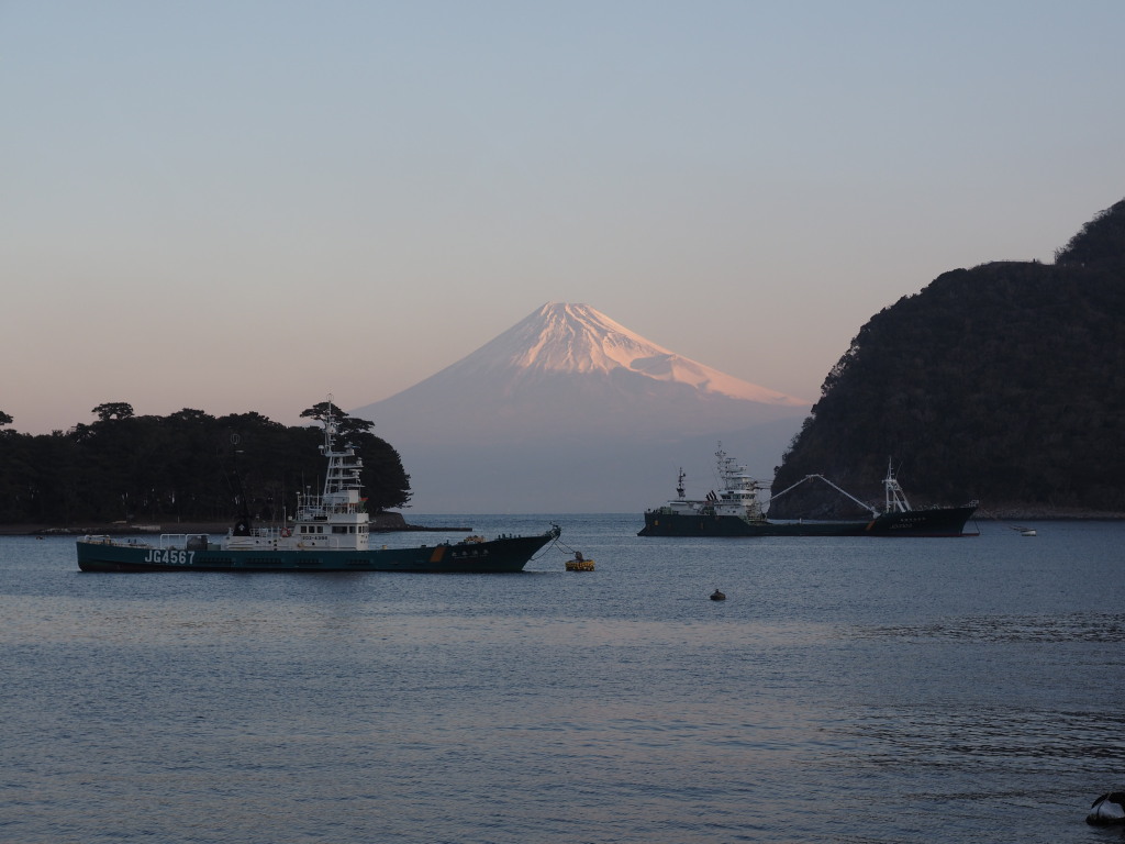 1/23 �˓c�`����̕x�m�R�ƑD