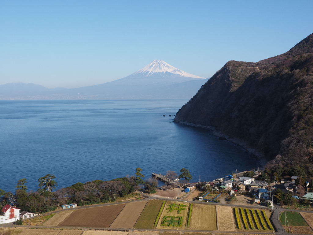 1/23 ���߂��̋u����̕x�m�R