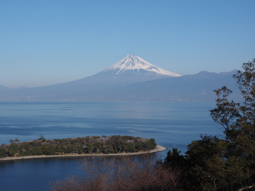 1/23 �吣�肩��̕x�m�R