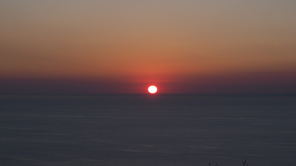 1/23 �����m�ɒ��ޑ��z