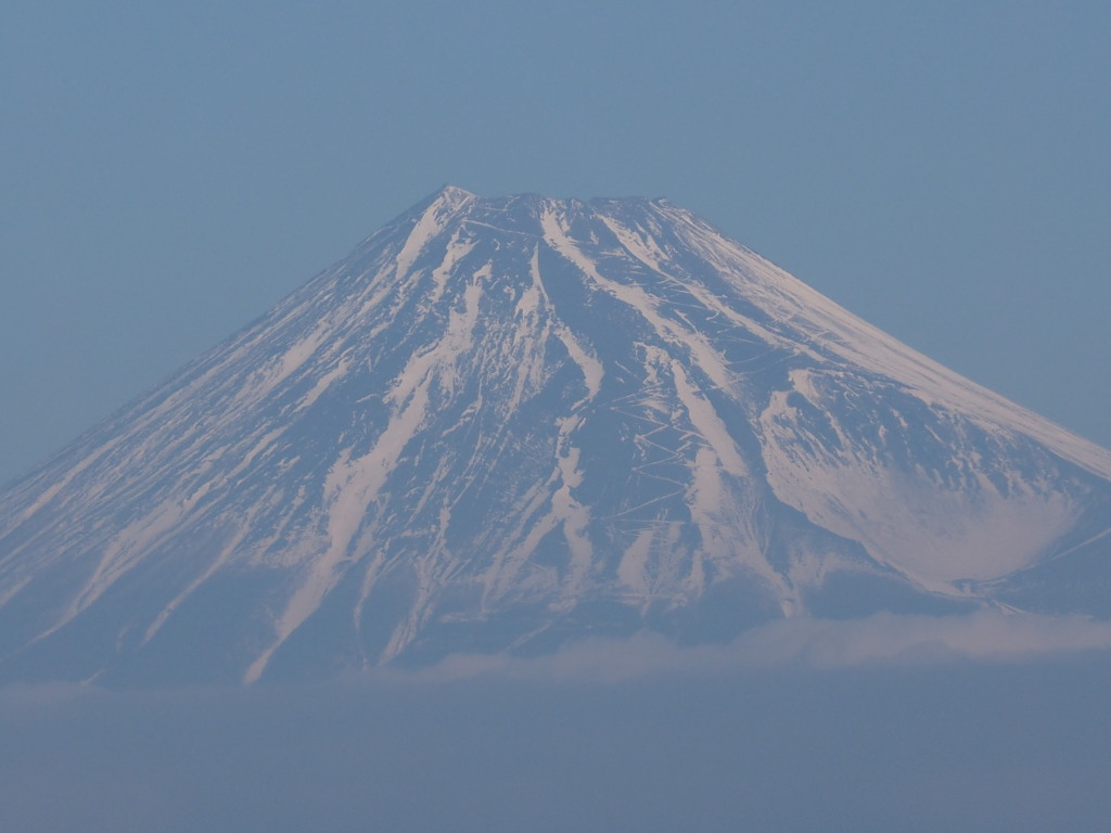 1/24 �����n�߂��x�m�R