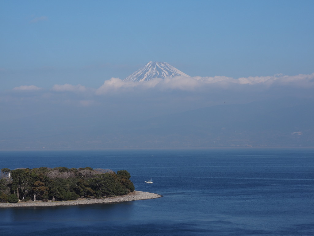 1/24 ���񂾕x�m�R�Ƒ吣��