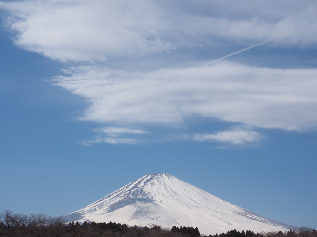 1/24 ��a�ꂩ��̕x�m�R