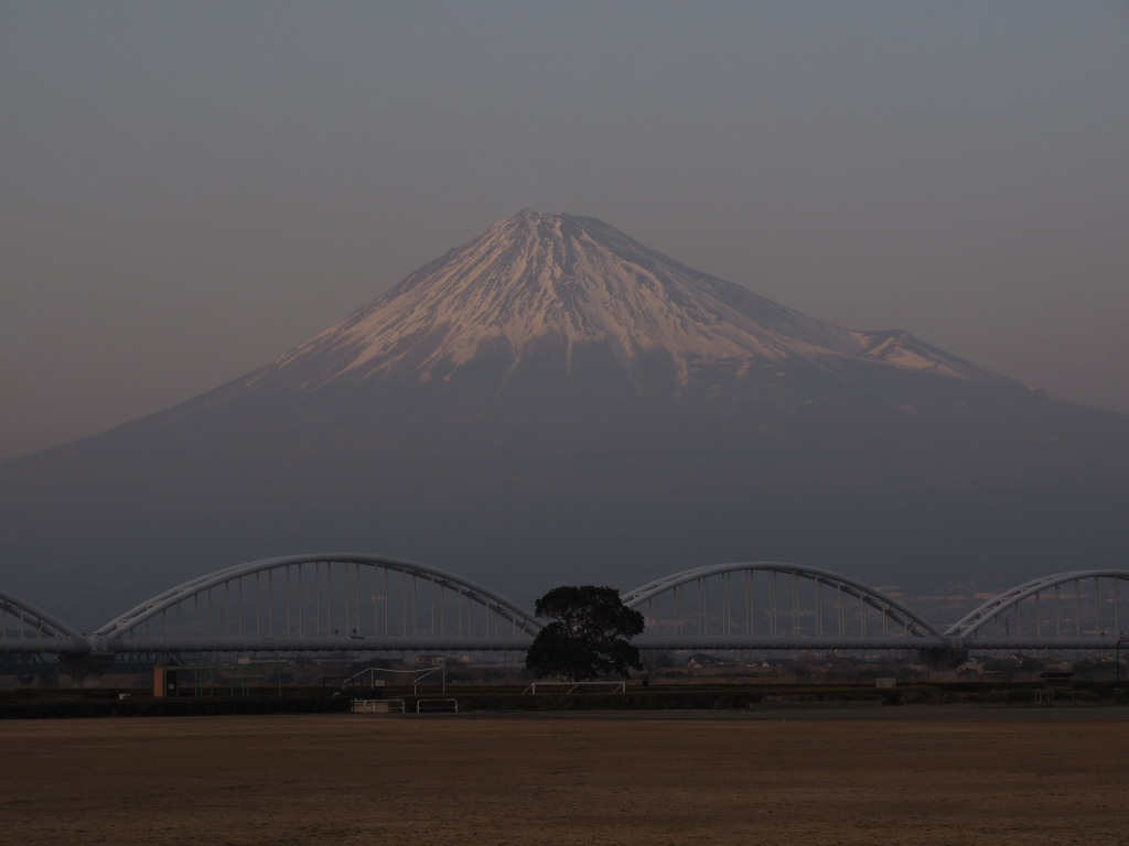 2/25 �[�Ă��̕x�m�R