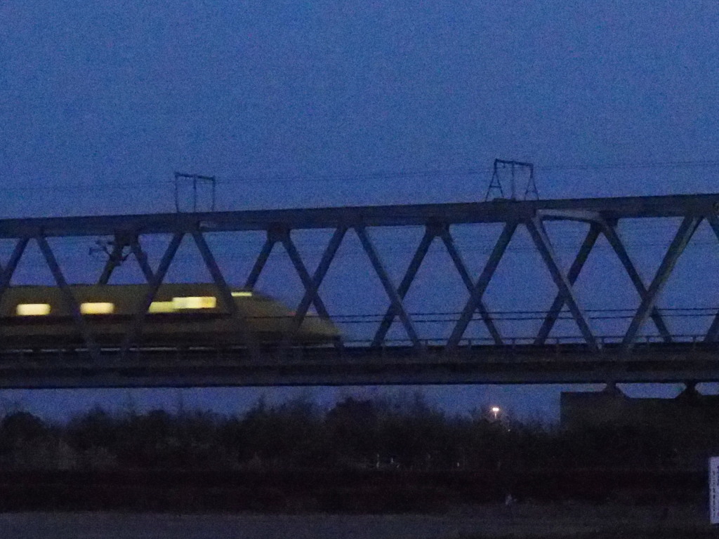 2/25 �A��̃h�N�^�[�C�G���[