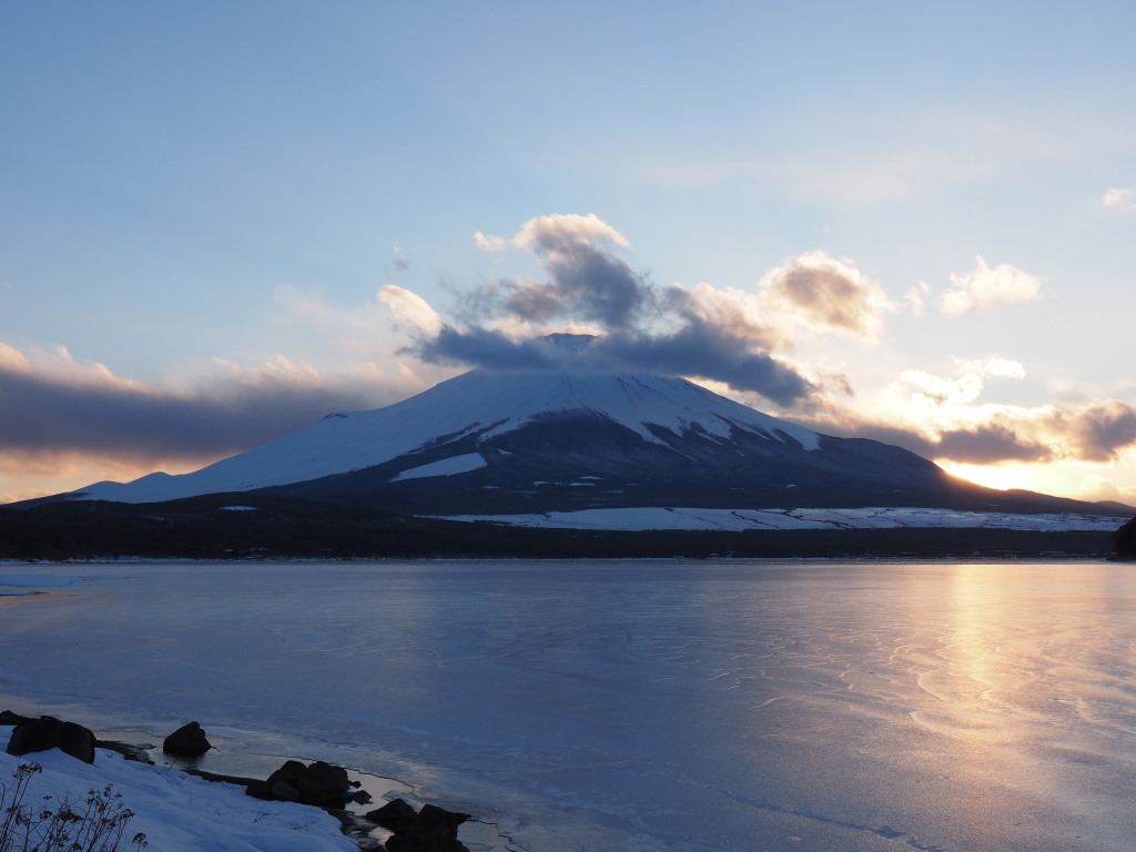 3/10 �����Ă����x�m�R