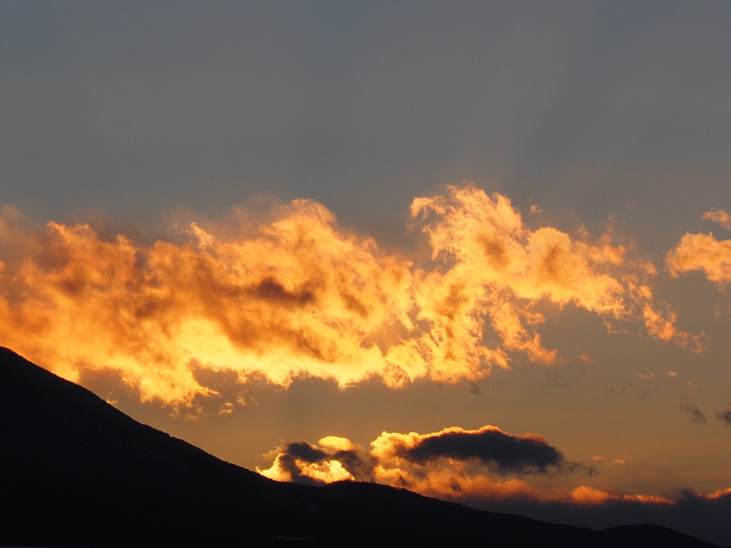 3/10 ����̗[�Ă�